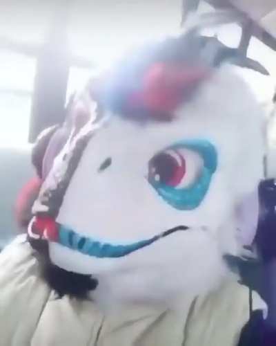I have so many questions