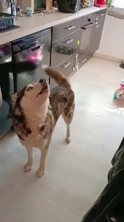 You no talk. Me talk