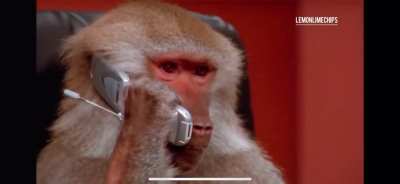 Godzilla on the Phone with King Kong source:  