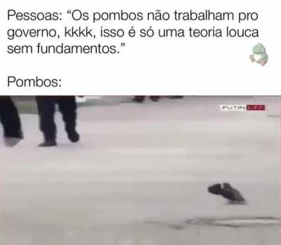 POMBOS EST&Atilde;O DISCRETAMENTE NOS OBSERVANDO (RENAN CAGA DE MEDO)