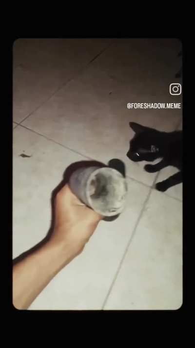 Well, well, well