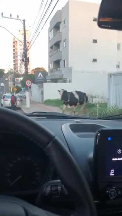 Just a normal day in Brazil
