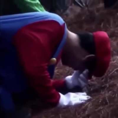 Yoshi’s f*cking dead