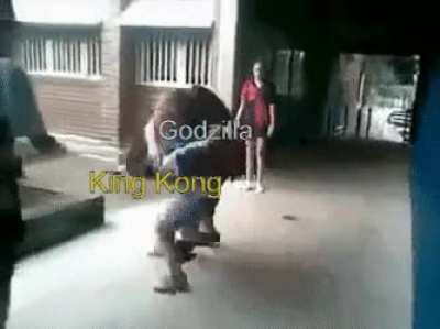A summary of what will happen
