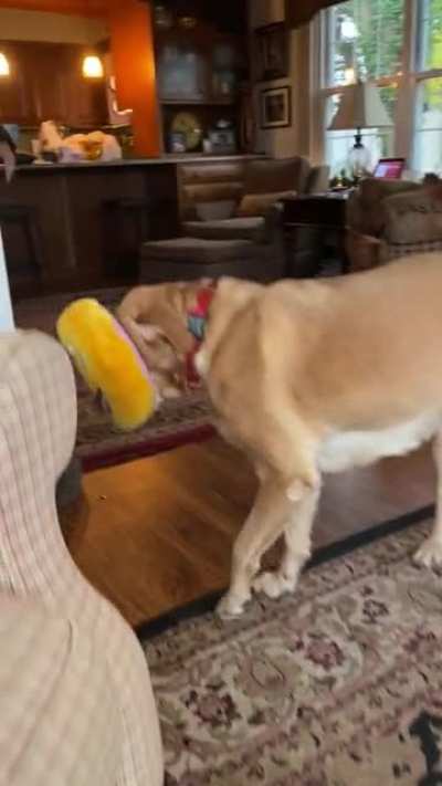 My 8year old girl whenever we get home