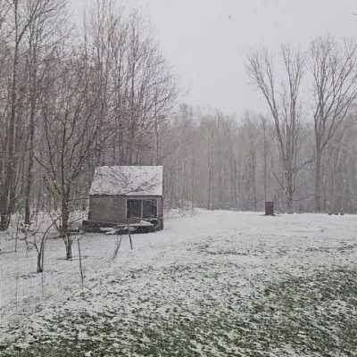 Snow in curtis