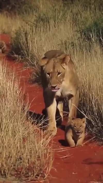 But mom!