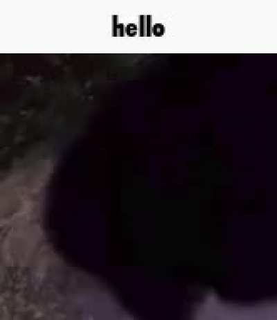 rule