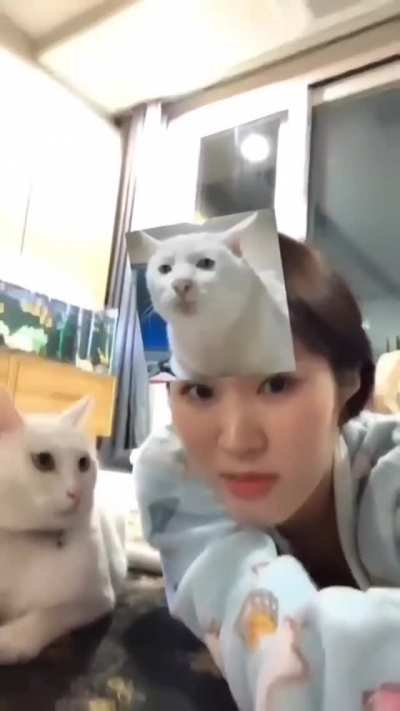 Messing with the cat....