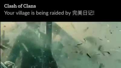 NOOOOOOOOOOOOOO