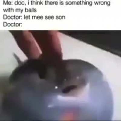 Testicurule
