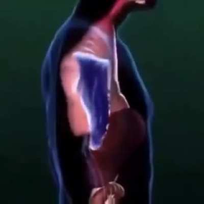 When the billionaire says Big Big Chungus Big Chungus Big Chungus