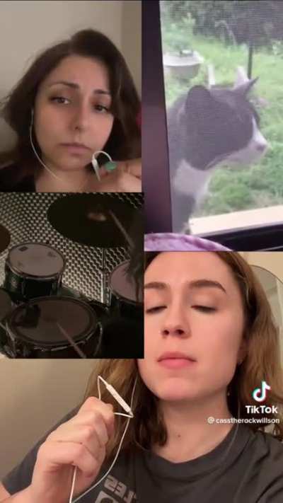 Meows deluxe