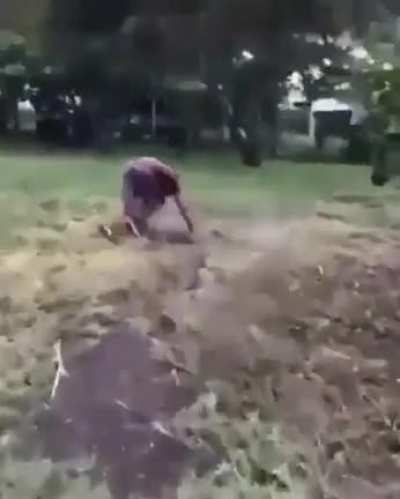 What a catch