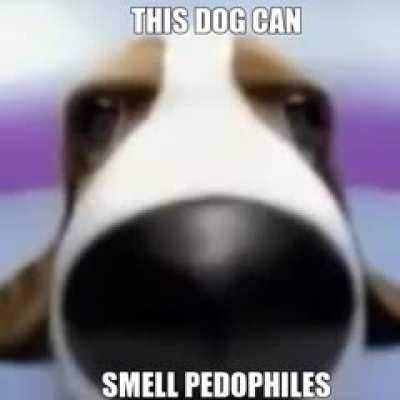 This dog can sniff pedophiles
