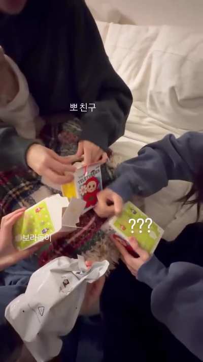 260105 Kwon Eunbi Instagram Story Update with Kim Chaewon (feat. Choi Yena &amp;amp; Kim Minju)