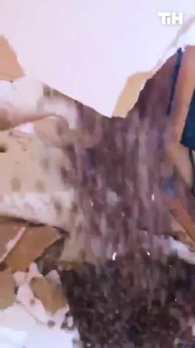 Wall nuts