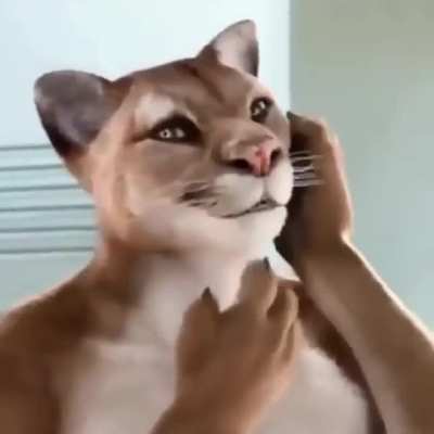 blursed_add