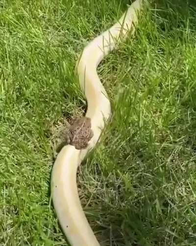 ?!