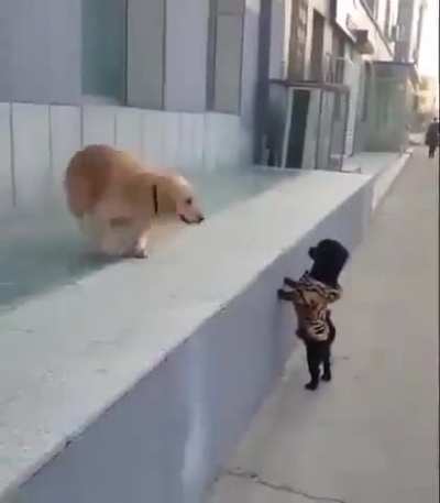 First Kiss