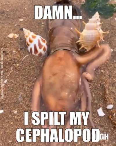 SMH ,I DROPED MY SQUID DRINK