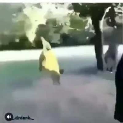 NOOOOOO