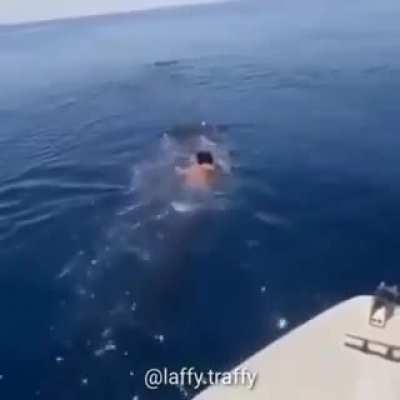 Sua M&atilde;e usou Surf