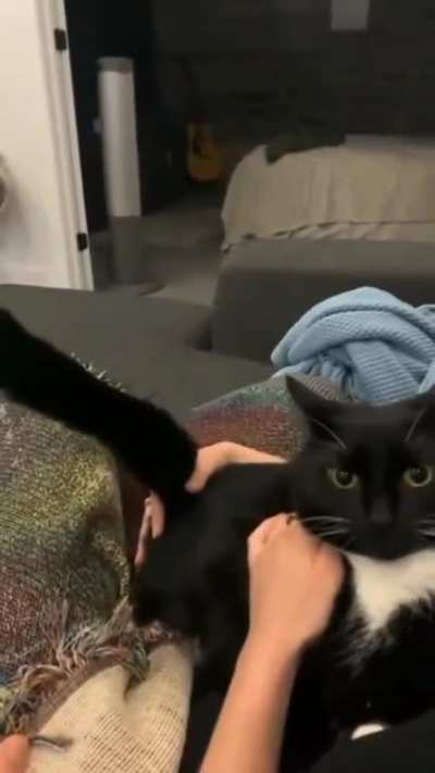 That face says it all