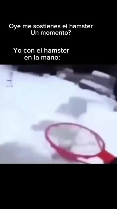 BeelcitosMemes - Video #8275