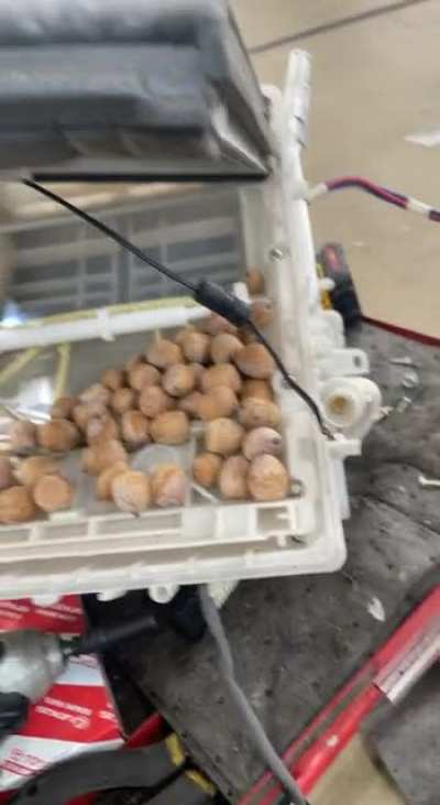 Customer said heat and cooling concern