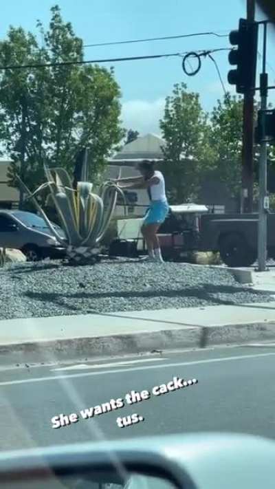 The timing of the song I was listening to in my car and this person&rsquo;s random actions makes for a pretty epic drum solo performance.