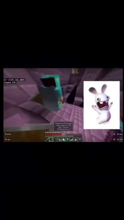 🐇📣🔊🔥