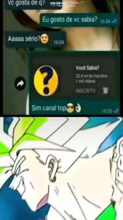 Shitpost 30 segundos para status