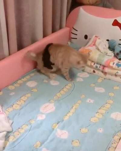 GET OFF ME.....