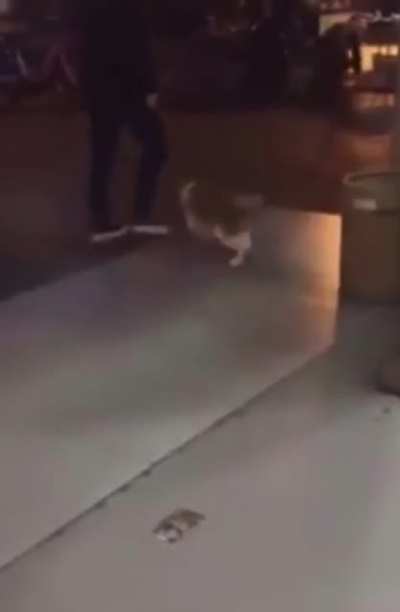 low quality