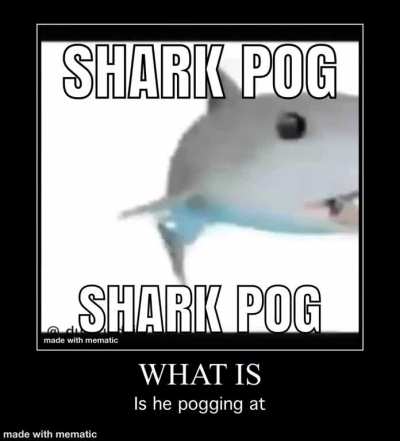 Tell me what he is pogging at