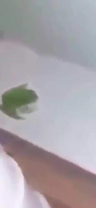 &AElig;