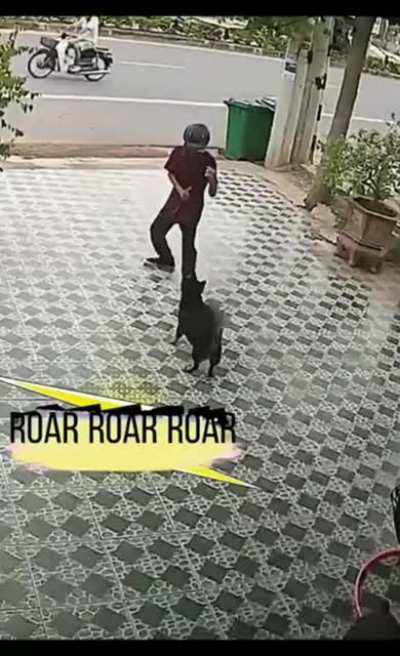 the last dogbender