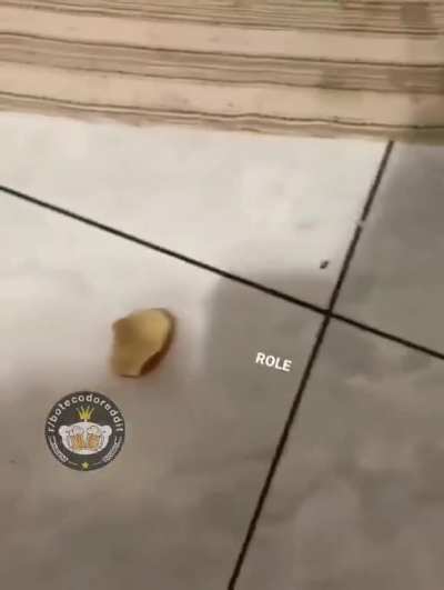 Bolinho de propano