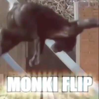 Incre&iacute;ble