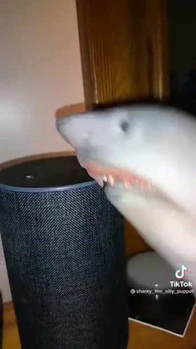 Alexa, give me a big fart