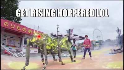 The stickbug meme&rsquo;s got some competition