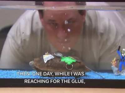 how to fix a turtle, by kevin.