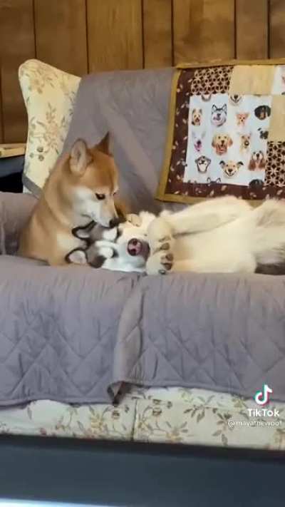 A true love story!