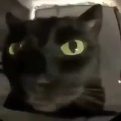 :O