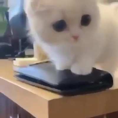 Anyone called me?