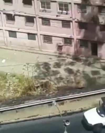 Ning&uacute;n colectivo tiene la autoridad de mandar toque de queda ' el tirano esta usando fuerza por encima de la constituci&oacute;n - Difundan y no se dejen de esas escorias.