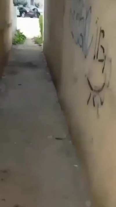 💩 🙌