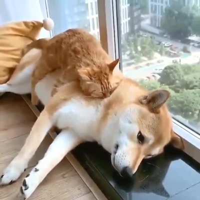 i am bed now