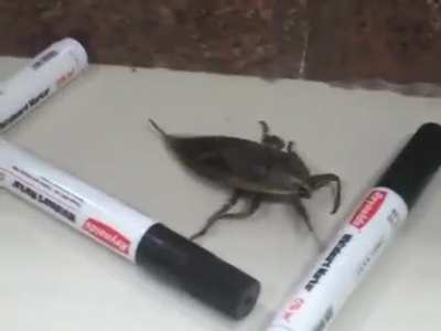 I think this belongs here